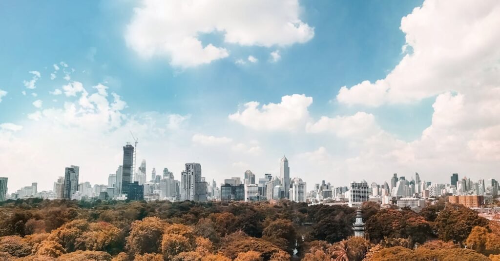 pexels-photo-2411747-2411747 Brown Trees Under White and Blue Cloudy Sky